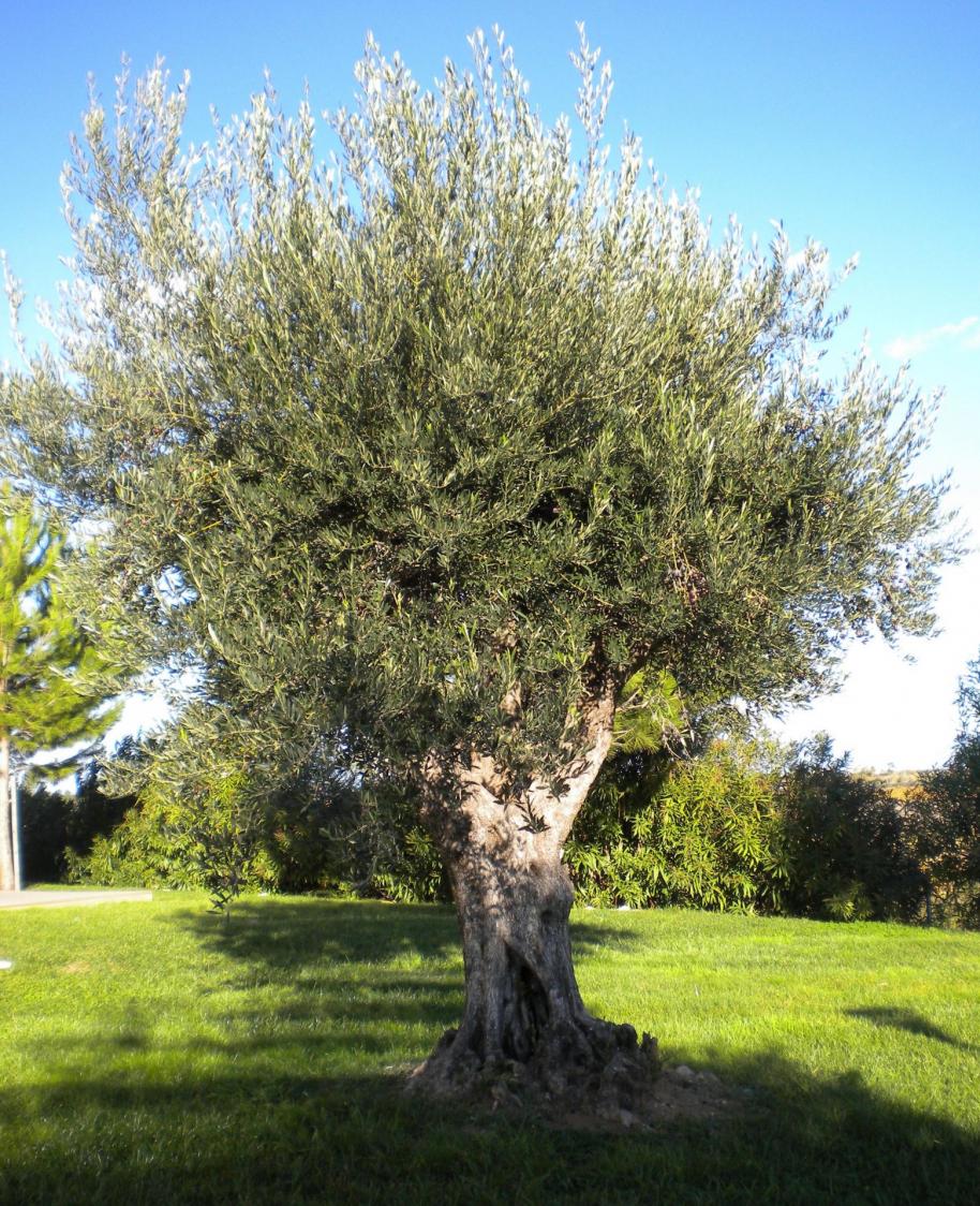 Dscn2558